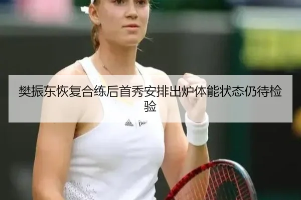 樊振东恢复合练后首秀安排出炉体能状态仍待检验